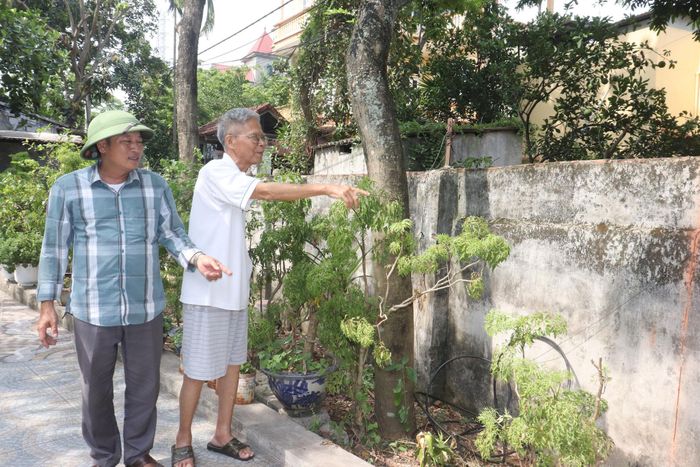 Ông Đào Xuân Chỉnh (80 tuổi), ở xóm Chợ, thôn Cao Bộ tự nguyện hiến một phần diện tích đất của gia đình để mở rộng đường làng, ngõ xóm dịp tháng 6-2026. Ảnh T. Đạt