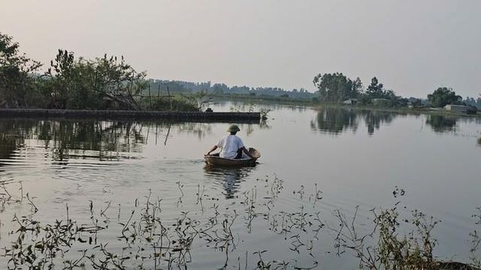 Người dân ra trang trại di chuyển bằng thuyền nan, vì đường đi còn bị ngập.
