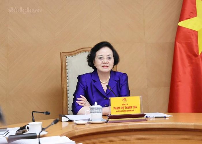 Phó Thủ tướng Phạm Thị Thanh Trà cho ý kiến về Đề án. Ảnh: chinhphu.vn/Thu Giang