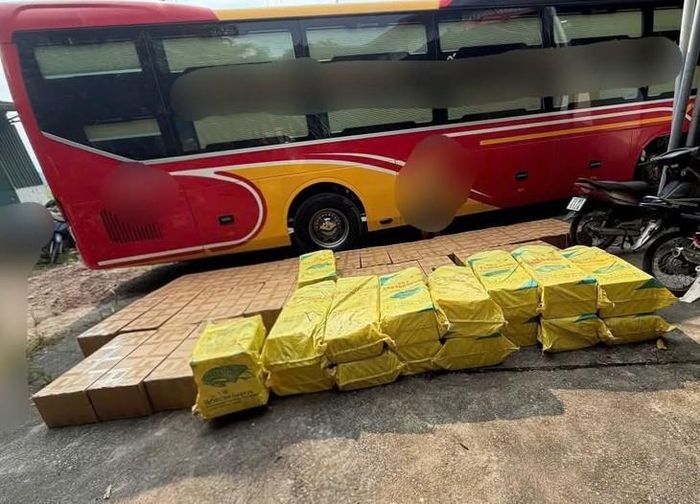 Lực lượng chức năng phát hiện và tạm giữ 46 thùng carton màu vàng, bên trong chứa trứng đà điểu. Ảnh: Công an tỉnh Cao Bằng.