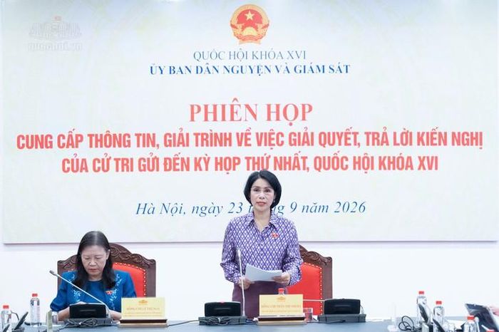 Phó Chủ nhiệm Ủy ban Dân nguyện và Giám sát Trần Thị Nhị Hà. Ảnh: Media Quốc hội