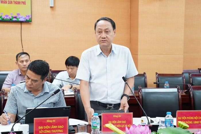 Đại diện Tổng công ty Điện lực thành phố tham luận tại hội nghị