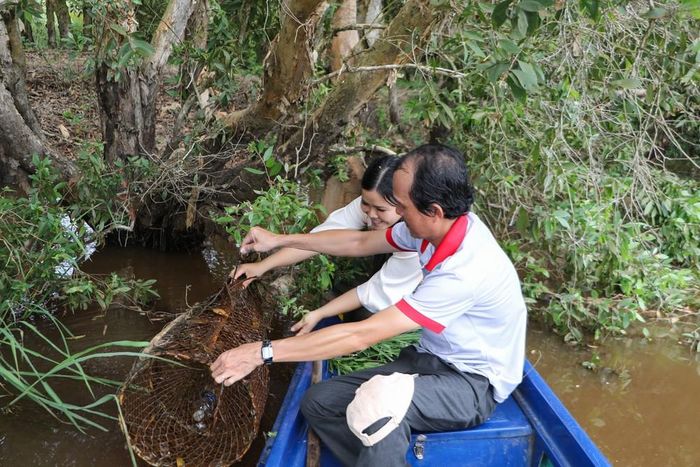 Du khách trải nghiệm đặt lờ tại Khu du lịch Tràm Chim mùa nước nổi. Ảnh: Hồng Thái - TTXVN