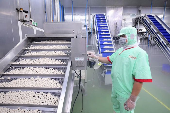 Dây chuyền sản xuất hiện đại góp phần nâng cao năng suất lao động. (Ảnh minh họa: ĐỖ BẢO)
