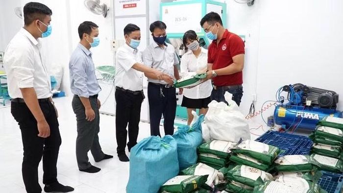 Hợp tác xã Nông nghiệp Long Hiệp xây dựng thương hiệu Gạo Hạt Ngọc Rồng. (Ảnh: HOÀNG TRUNG)