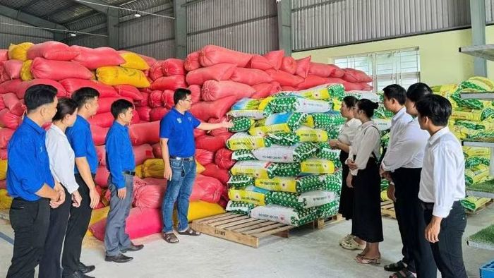 Hợp tác xã Nông nghiệp Long Hiệp tạo việc làm cho nhiều lao động tại địa phương. (Ảnh: HOÀNG TRUNG)