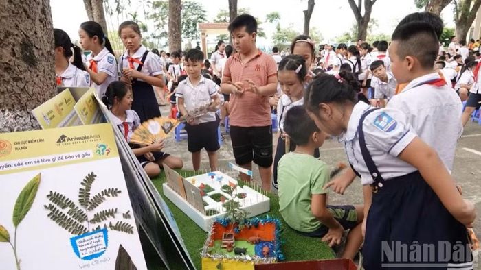 Học sinh được tự do thể hiện sáng tạo qua nhiều hình thức từ vẽ tranh làm mô hình đến ép lá thảo dược thay thế mật gấu tại Phụng Thượng (cũ), nay là Phúc Thọ. (Ảnh: Lê Lâm)