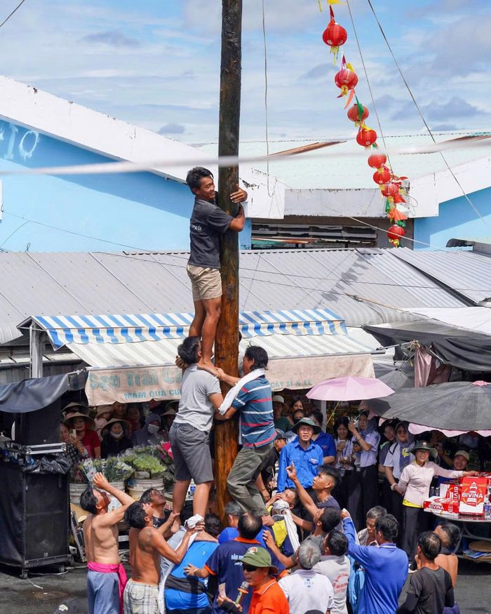 Mỗi lượt chơi có khoảng 23 thanh niên cùng tham gia. Thân cột được bôi mỡ bò khiến bề mặt trơn trượt, tạo thêm thử thách cho người chơi.