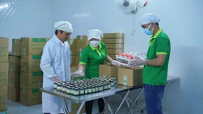Giám sát một lô sản phẩm hồ tiêu trước khi đóng gói ở Hợp tác xã Bàu Mây. (Ảnh: Cộng tác viên)