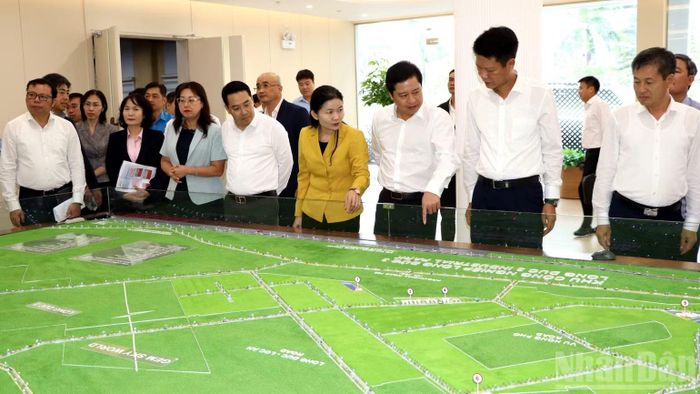 Lãnh đạo tỉnh Lào Cai khảo sát tại Khu công nghiệp Long Đức.