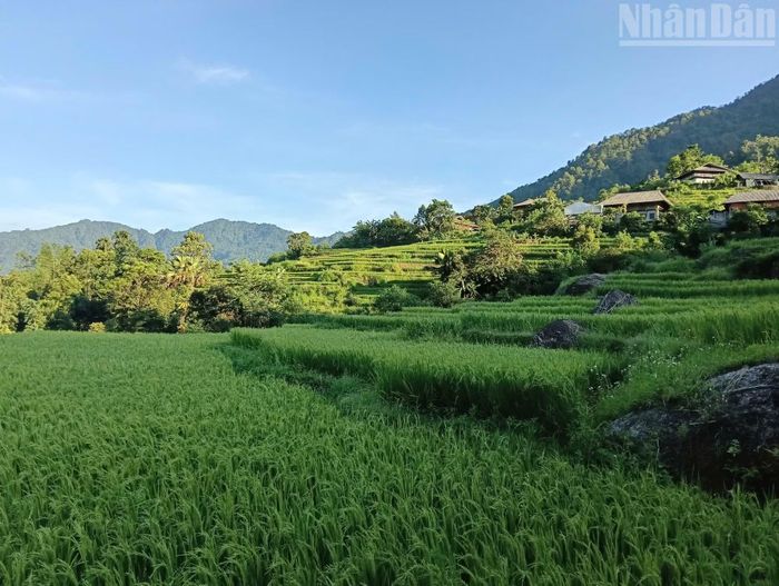 Nằm trong vùng đệm Khu bảo tồn thiên nhiên Tây Côn Lĩnh, thôn Lùng Tao (xã Cao Bồ, tỉnh Tuyên Quang) hiện lên như một bức tranh thiên nhiên nguyên sơ, yên bình, giản dị. Từ năm 2009, thôn Lùng Tao đã phát triển du lịch cộng đồng. Không ồn ào, náo nhiệt, nơi đây chinh phục du khách bằng vẻ đẹp hài hòa của thiên nhiên, bằng nhịp sống chậm rãi và đặc biệt là bằng bản sắc văn hóa cộng đồng của đồng bào dân tộc Dao áo dài được gìn giữ qua nhiều thế hệ.