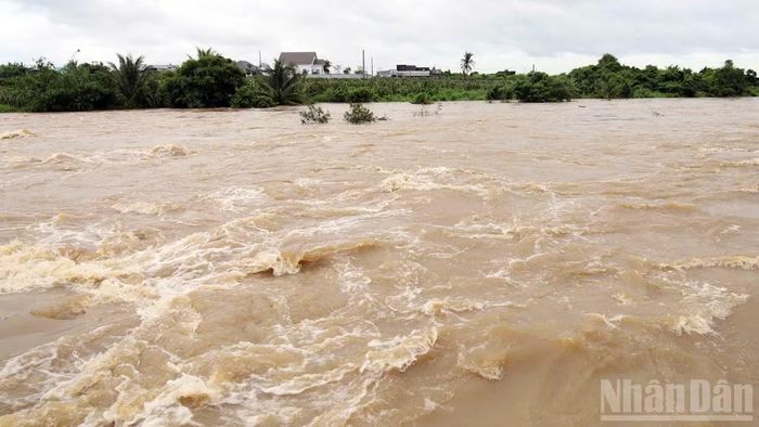 Trong hai ngày 23 và 24/9, nhiều địa phương khu vực phía đông Lâm Đồng có mưa to đến rất to khiến mực nước trên sông lên nhanh. (Ảnh: BẢO VĂN)