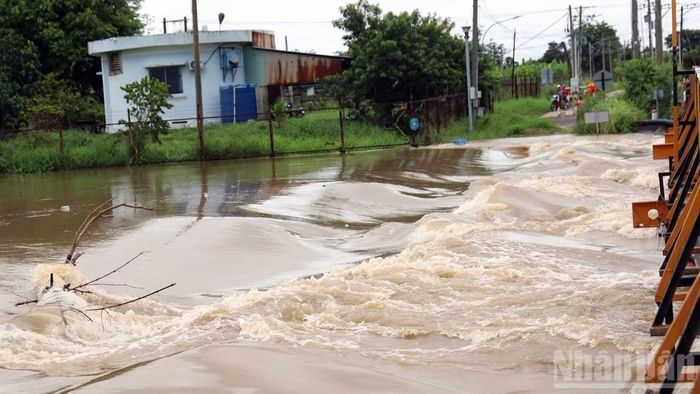 Thôn Phú Hưng huy động lực lượng túc trực tại các điểm xung yếu, hỗ trợ người dân di chuyển tài sản, đưa người cao tuổi đến nơi an toàn. (Ảnh: CTV)