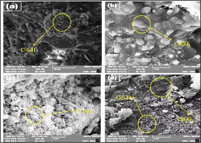 Ảnh hiển vi cho thấy cấu trúc xốp của zeolite và than sinh học, đặc điểm được cho là góp phần vào khả năng giữ CO₂.