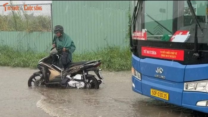 Người đàn ông đi xe máy này bị sụp hố té ngã ngay trước đầu xe buýt. Rất may xe buýt chạy chậm, tài xế thắng kịp thời nên không xảy ra sự cố đáng tiếc...