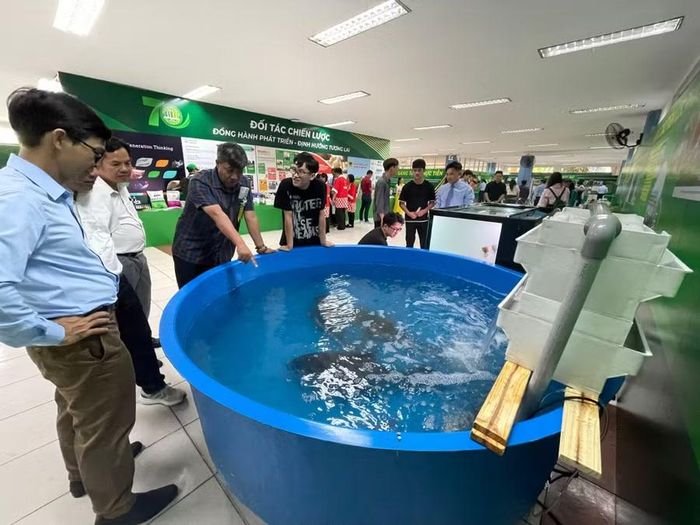 Các mô hình nông nghiệp triển lãm tại lễ kỷ niệm 70 năm thành lập Trường Đại học Nông Lâm TPHCM tháng 11/2025. Ảnh: Hà An.