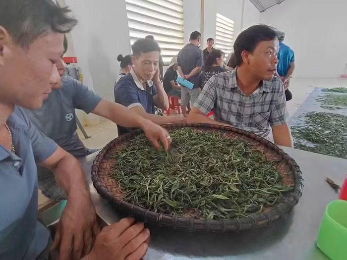 Người dân học để tăng giá trị kinh tế từ lợi thế sẵn có.