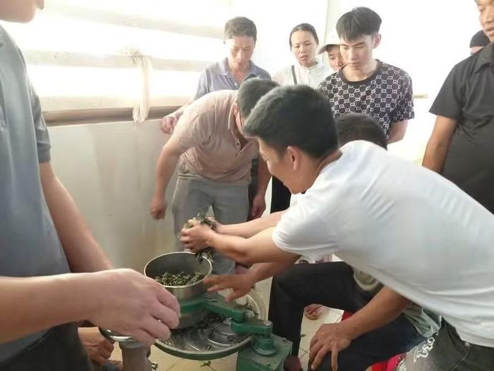 36 học viên là cán bộ và người dân sôi nổi tham gia khóa đào tạo.