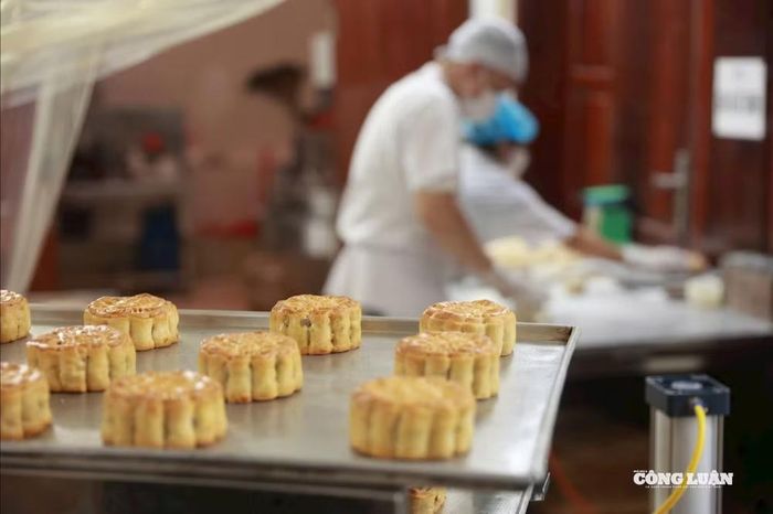 Với người đang kiểm soát cân nặng, nên chọn khẩu phần nhỏ, hạn chế số lượng bánh trong ngày và cân đối lại các thực phẩm giàu tinh bột, đường, chất béo trong những bữa còn lại.