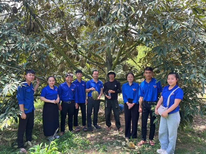 Anh Nguyễn Thế Nam (áo đen) cùng đoàn viên, thanh niên tham quan mô hình.