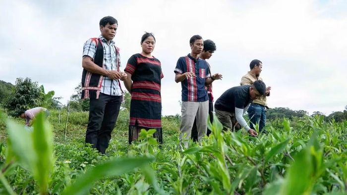 Nhiều mô hình nông nghiệp sinh thái đang được triển khai tại phía tây Quảng Ngãi.