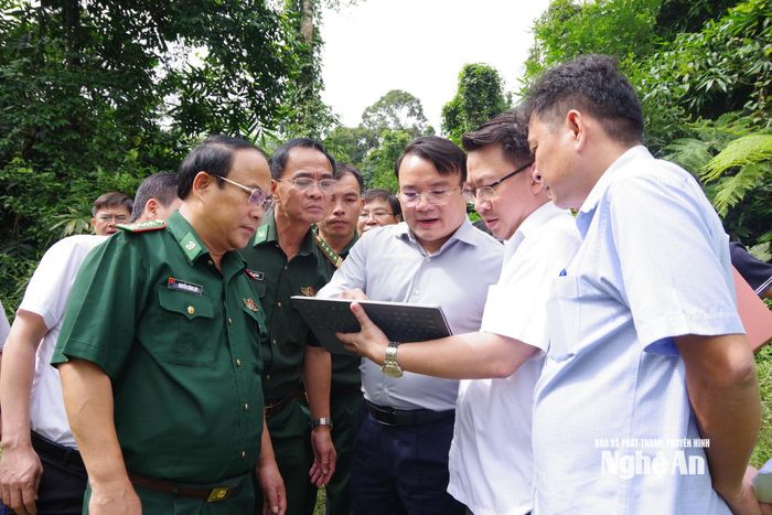 Phó Chủ tịch UBND tỉnh Phùng Thành Vinh và đoàn công tác khảo sát thực địa. Ảnh: Hải Thượng