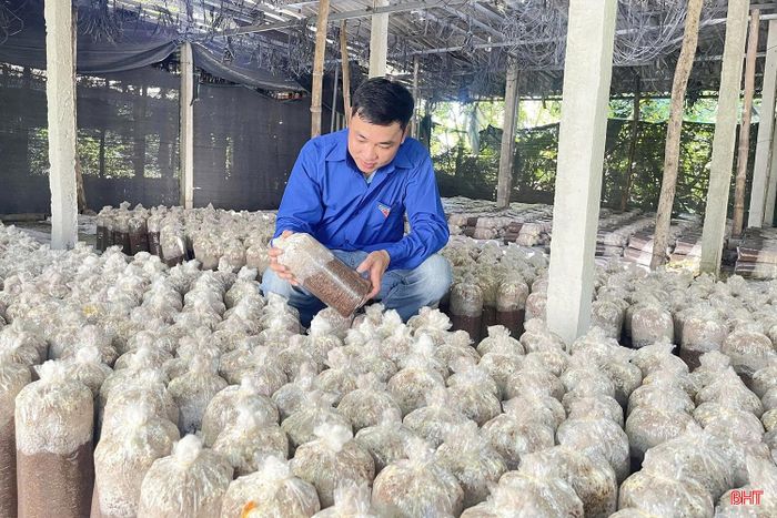 Mô hình trồng nấm của anh Lê Trọng Đức được "tiếp sức" từ nguồn vốn vay ưu đãi theo Nghị quyết 127.