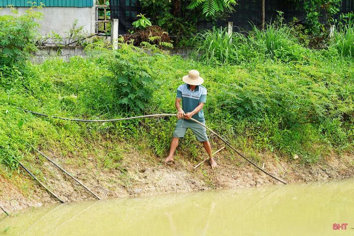 Nhiều hộ dân ở xã Việt Xuyên phải lắp đặt máy bơm và hệ thống đường ống dẫn nước từ ao, hồ về nhà để phục vụ nhu cầu sinh hoạt hằng ngày.
