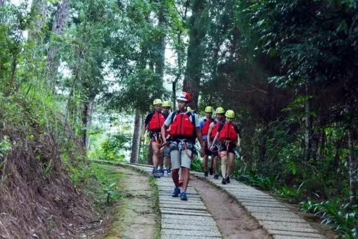  Đà Lạt nhẹ nhàng giữa rừng thông, khí hậu mát lành và những cung đường đầy thơ mộng. (Nguồn: Traveloka) 
