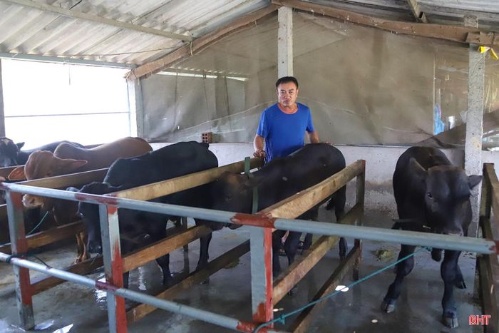 Để bảo đảm tiến độ, địa phương đã chuẩn bị nhân lực, vật tư và các điều kiện cần thiết, tổ chức tiêm đúng đối tượng, đủ liều và bảo đảm yêu cầu kỹ thuật. Theo kế hoạch, từ ngày 10 - 20/9, xã đã tổ chức tiêm vắc-xin lở mồm long móng, tụ huyết trùng cho đàn trâu, bò; từ ngày 20 - 30/9 tiếp tục tiêm các loại vắc-xin phòng bệnh cho đàn lợn, gia cầm.