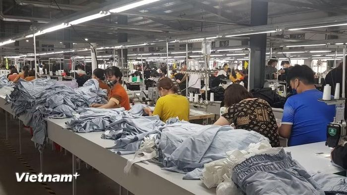 Dệt may là một trong các mặt hàng Việt Nam xuất khẩu sang Litva. (Ảnh: Vietnam+)