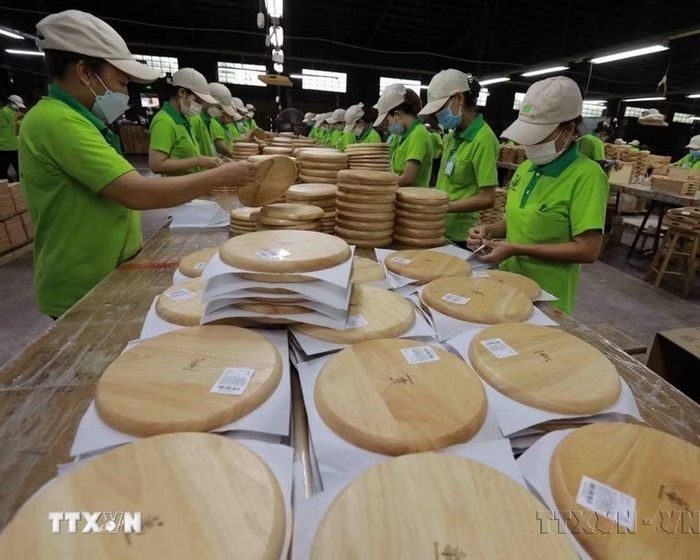 Việt Nam xuất khẩu sang Litva các mặt hàng gạo, thủy sản, rau quả, chè, hồ tiêu, hạt điều, gỗ/sản phẩm từ gỗ, cao su…. (Ảnh: Vũ Sinh/TTXVN)