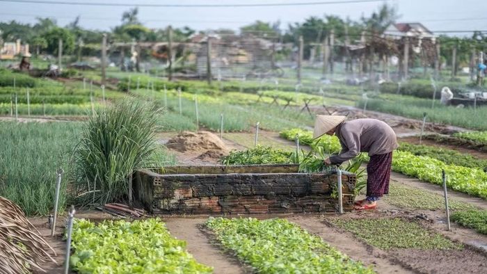  Du lịch đang góp phần giúp làng nghề được gìn giữ và bảo tồn. (Ảnh: CTV/Vietnam+) 
