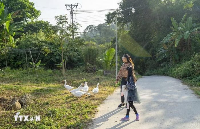 Núi Cấm có cảnh quan tuyệt đẹp, khí hậu mát mẻ, cùng khung cảnh làng quê mộc mạc, hoang sơ và sự thân thiện của người dân bản địa thu hút du khách với loại hình du lịch "sống chậm". (Ảnh: Công Mạo/TTXVN)