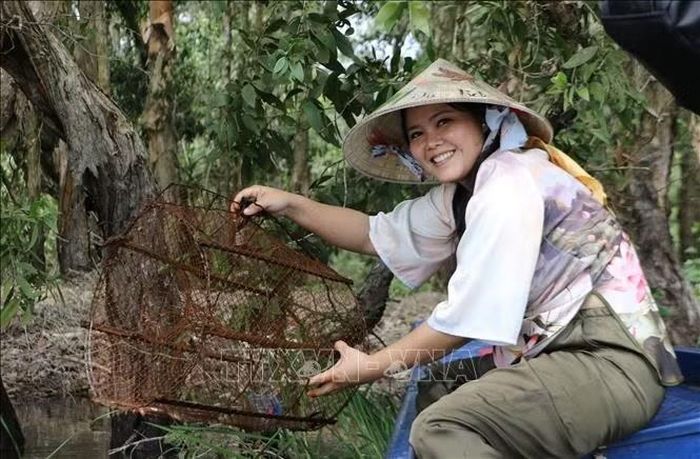 Du khách trải nghiệm đặt lờ tại Khu du lịch Tràm Chim mùa nước nổi.