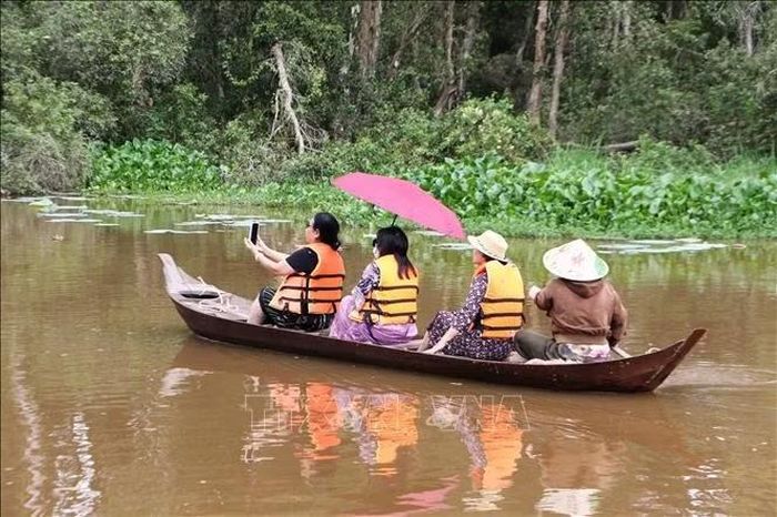 Du khách đi xuồng ngắm không gian rừng tràm mùa nước nổi tại Khu du lịch Tràm Chim.