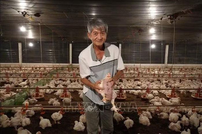 Ông Nguyễn Đức Lữ, phường Đạo Thạnh, tỉnh Đồng Tháp, xây dựng mô hình nuôi gà trong trại lạnh khép kín, mang lại doanh thu từ 15 - 20 tỷ đồng mỗi năm.
