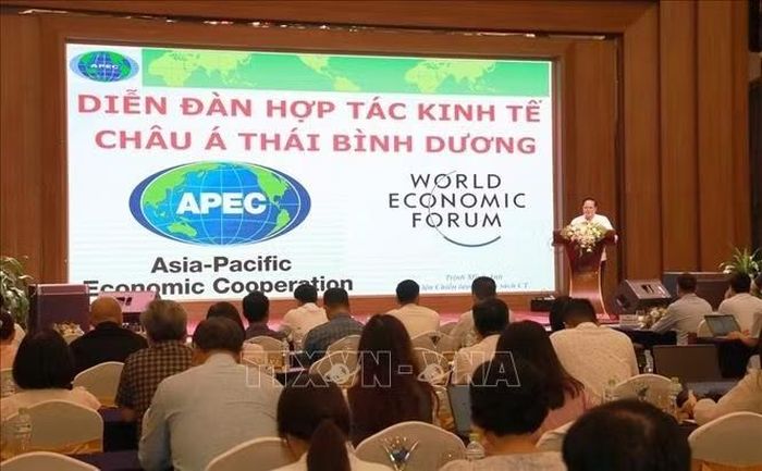 Quang cảnh hội nghị tập huấn.