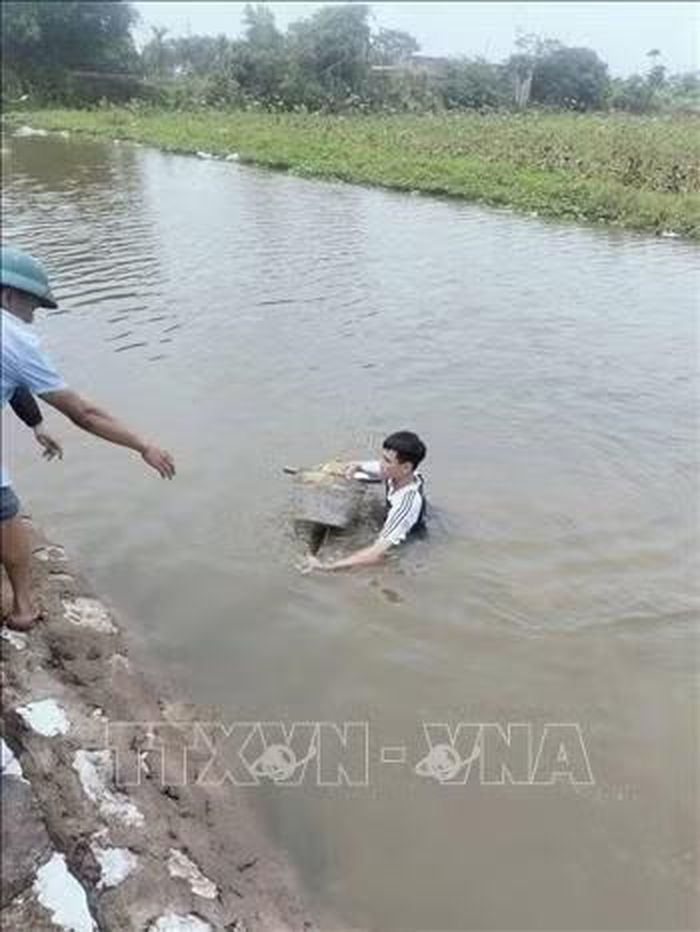Em Nguyễn Mạnh Hùng học sinh lớp 11B1, Trường THPT B Hải Hậu, xã Hải Xuân, tỉnh Ninh Bình đã dũng cảm cứu hai học sinh bị ngã xuống sông trên đường đi học về. Ảnh: TTXVN phát
