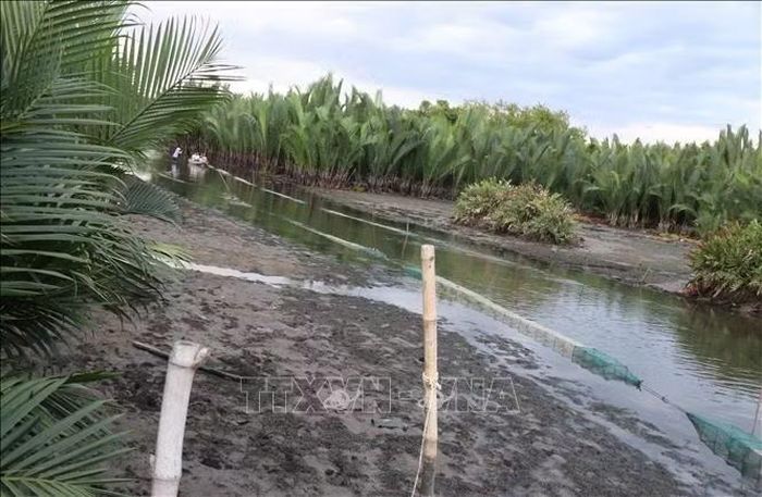 Sông Kinh bị bồi lấp, cạn kiệt nguồn nước, phụ thuộc vào thủy triều khiến hoạt động du lịch trải nghiệm trên sông gặp khó khăn.