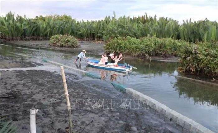 Thủy triều rút, sông Kinh cạn kiệt, du khách mắc kẹt giữa dòng khi đang tham quan rừng dừa nước.