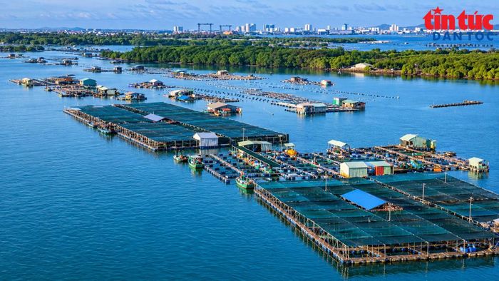 Làng bè Long Sơn với diện tích trên 1.000m2 là một điểm du lịch hấp dẫn tại Bà Rịa - Vũng Tàu cũ.
