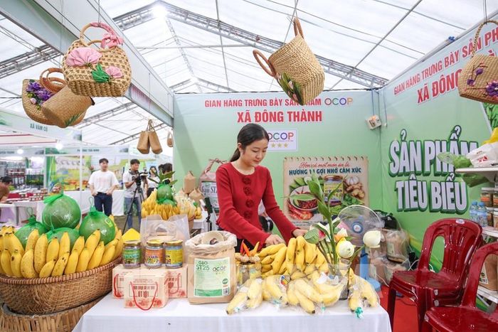 Phát triển các sản phẩm OCOP là một trong những hướng giúp nông sản Tây Ninh tăng giá trị, mở rộng thị trường và gắn sản xuất với nhu cầu tiêu dùng. Ảnh: Giang Phương - TTXVN