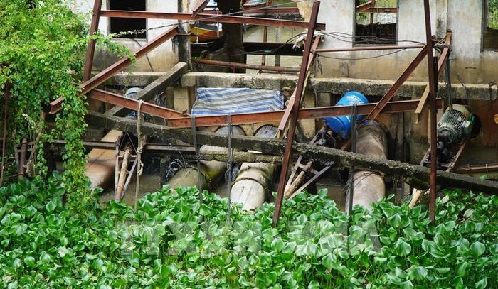 Trạm bơm tại xã Mỹ Quí (tỉnh Đồng Tháp) hoạt động liên tục nhằm bơm rút nước trên đồng để thu hoạch lúa. Ảnh: Nhựt An - TTXVN