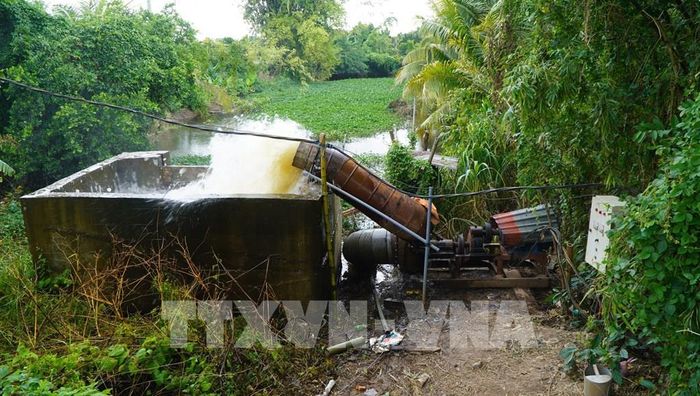 Máy bơm vận hành rút nước, bảo vệ ruộng, vườn khi mưa kéo dài kết hợp triều cường. Ảnh: Nhựt An - TTXVN