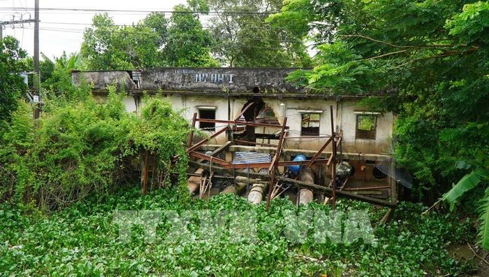 Trạm bơm tại xã Mỹ Quí (tỉnh Đồng Tháp) hoạt động liên tục nhằm bơm rút nước trên đồng để thu hoạch lúa Thu đông 2026. Ảnh: Nhựt An - TTXVN
