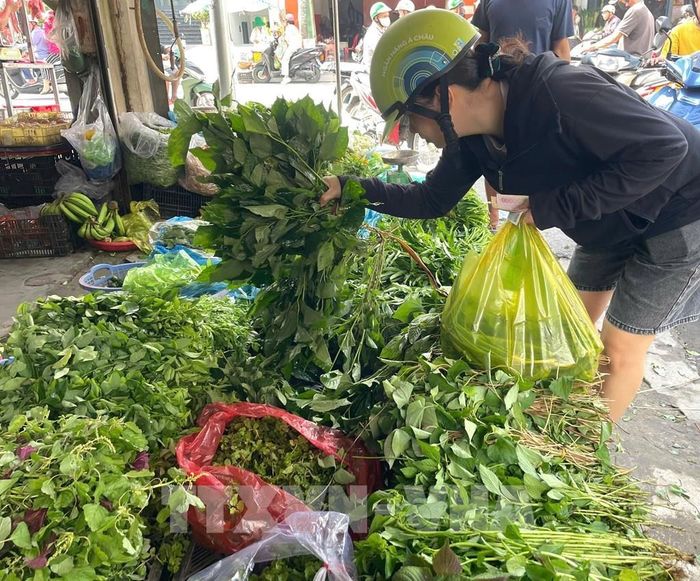 Nhiều loại rau xanh tại chợ tăng giá mạnh. Ảnh: Hương Giang - TTXVN