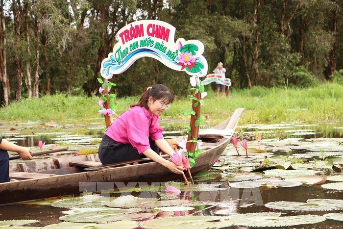 Du khách trải nghiệm hái bông súng. Ảnh: Hồng Nhung – TTXVN 