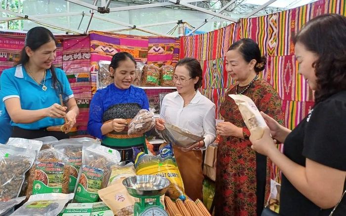 Các cấp Hội đồng hành cùng hội viên phát triển kinh tế
