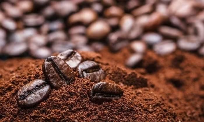Giá cà phê trong nước hôm nay tiếp tục giảm mạnh 1.000 đồng/kg so với ngày hôm trước